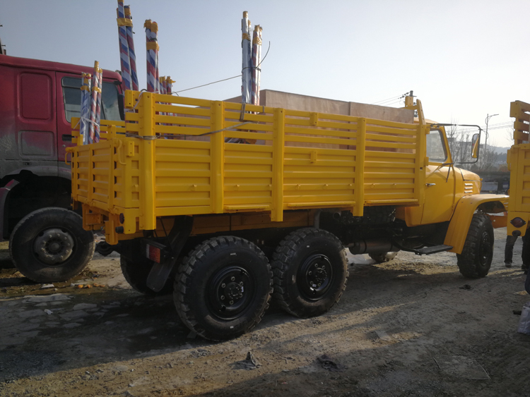 Customer's Requirements Diesel Materials Transport Pickup Cargo Truck by Dongfeng 4x4