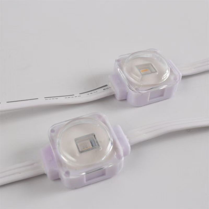 Outdoor Christmas Decoration 160 Led RGBW SMD5050 Eave Lights with Remote Control