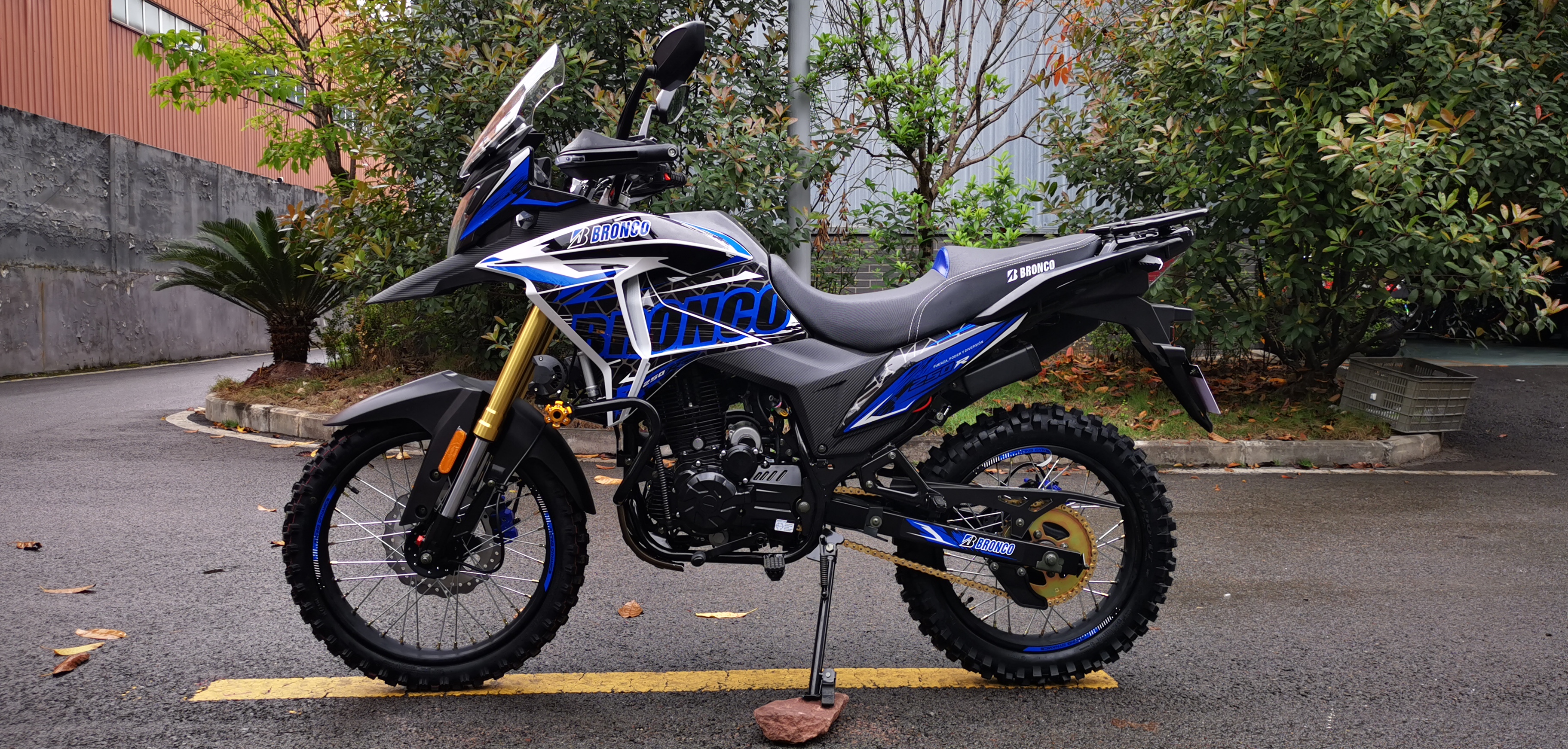 Four Stroke Off Road 250cc Dirt Bike Motorcycle With Brushless Motor