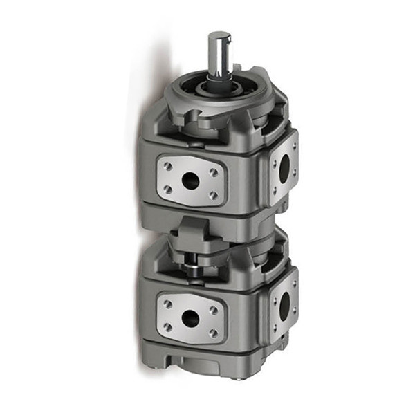 Vickers 931230 Hydraulic Gear Pump GD511A109FUFUL20IN189 OEM