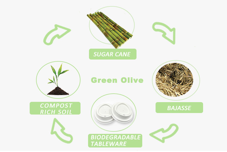 100% Biodegradable Capsul Cups Cover Bubble Recyclable Disposable Bagasse Cups Lids For Coffee Cup