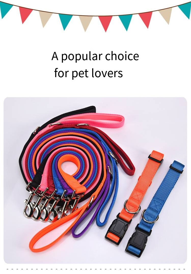 Pet Adjustable Leash And Diving Nylon Collar Anti-Escape Dog Walking Set