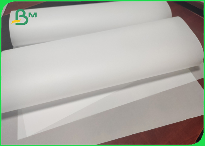 Transparent plotter paper