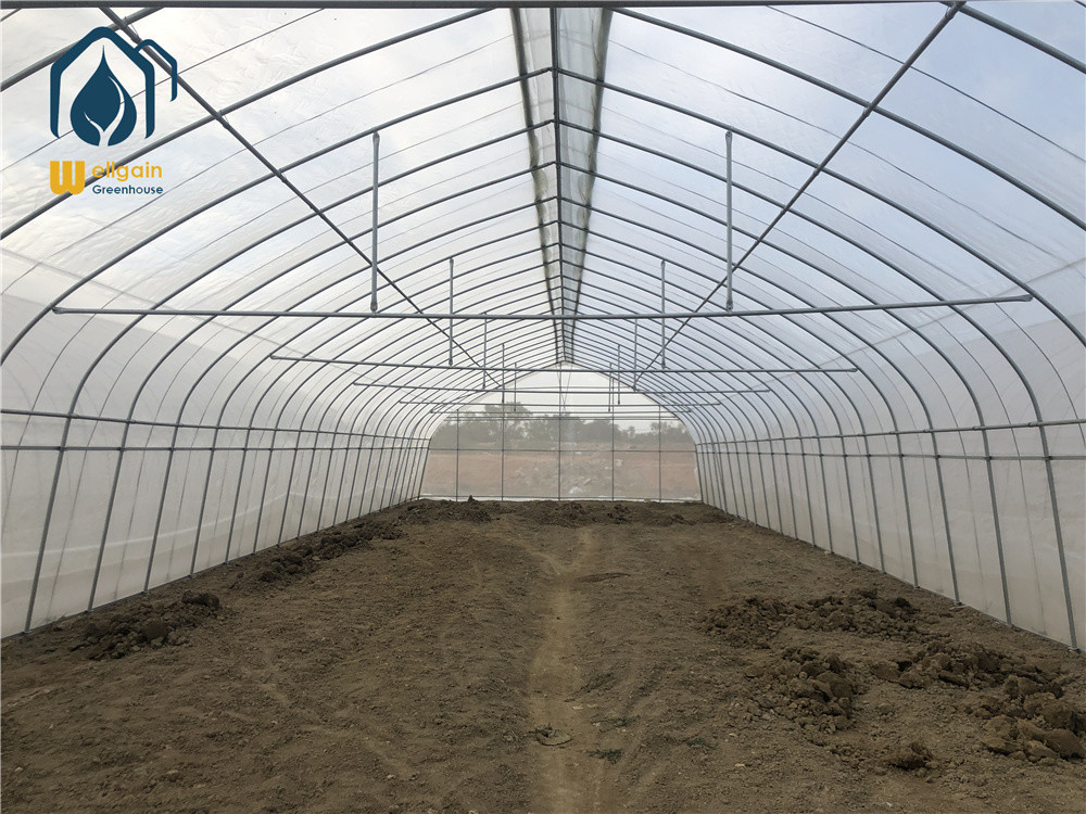 Agricultural Tunnel Greenhouse Single Span PE Film Greenhouse For Flowers Plant