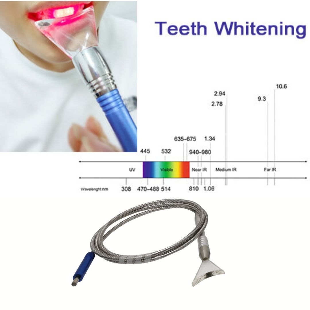 650nm 980nm Teeth Diode Laser In Dentistry For Periodontics Endodontics Soft Tissue Surgery