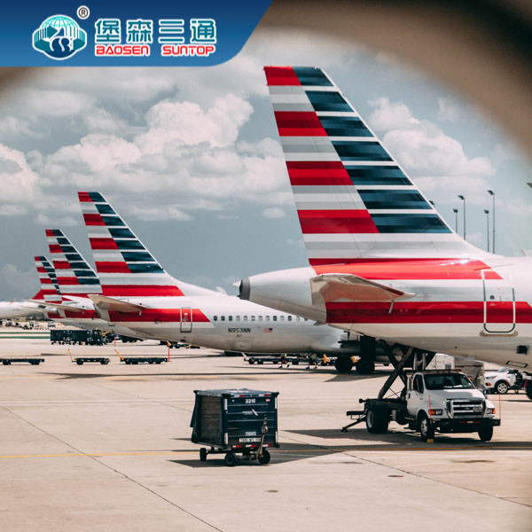 International Amazon FBA Sea Freight Shipping Service Professional China To USA