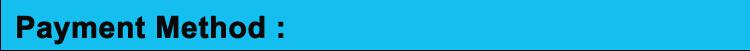 New Multifunctional Wireless RF Remote Control Laser Presenter Pointer for PowerPoint from grgheadsets.aliexpress.com
