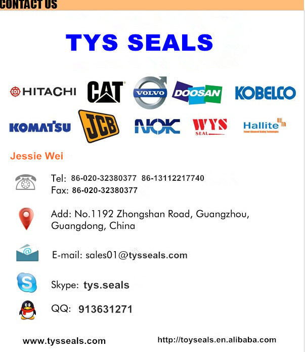 hydraulic cylinder seals