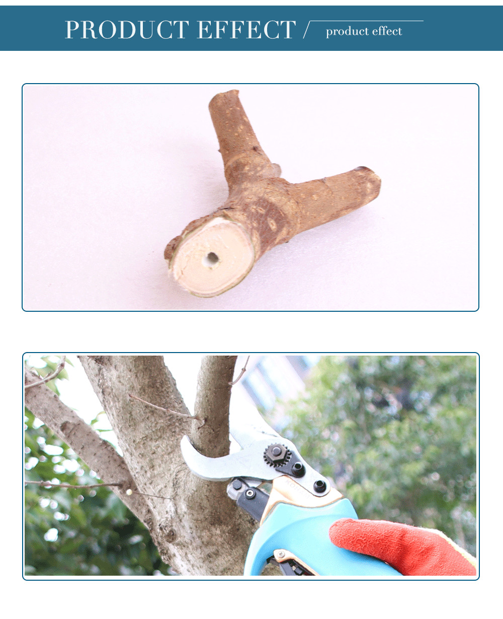 Swansoft professional electric pruning shear 3.0 CM electric bypass pruner to Europe and US and Korea