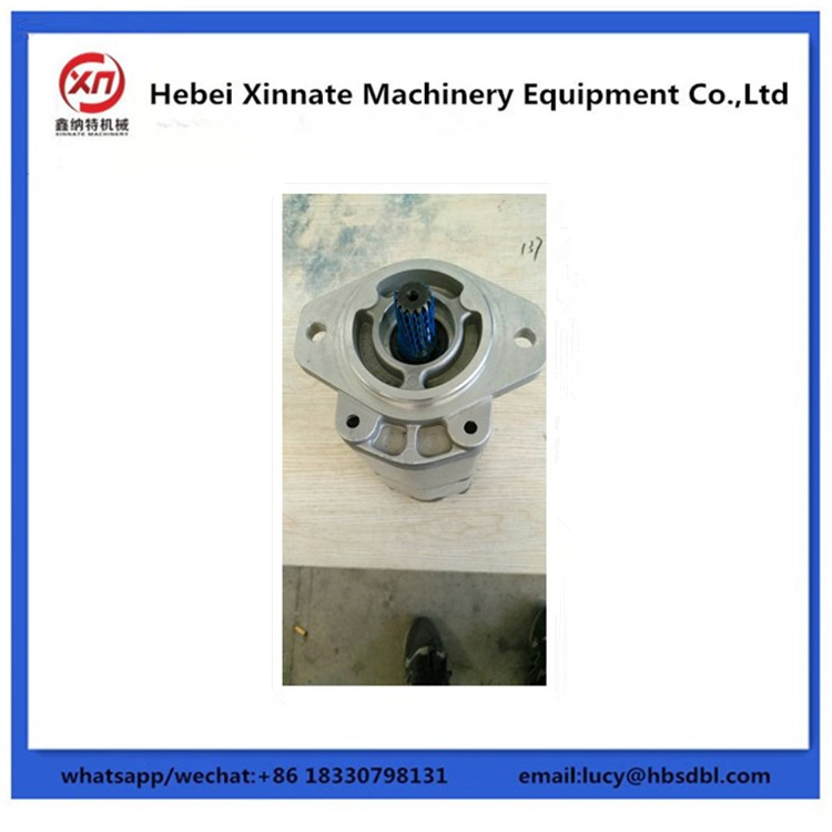 Low Pressure Sany Concrete Pump Parts Single Gear Pump Double Inlet And Double Outlet