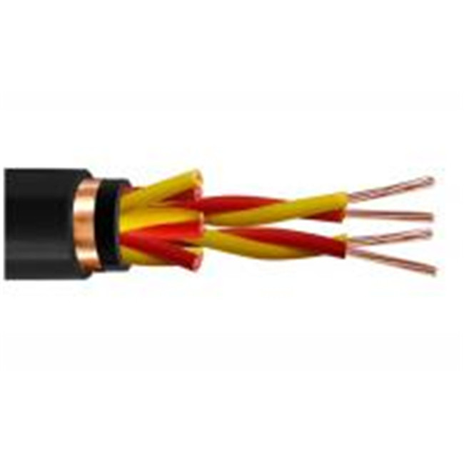 Overall Copper Wire Braiding /Shield Computer Cable with Solid Conductor Armoured
