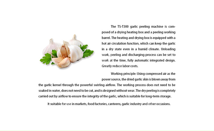 OEM Electric Garlic Processing Machine Skin Removing Equipment