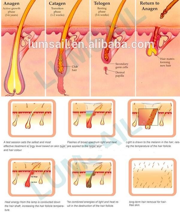 Touch Cooling IPL Laser Hair Removal Machine / Skin Rejunvation Machine Painless
