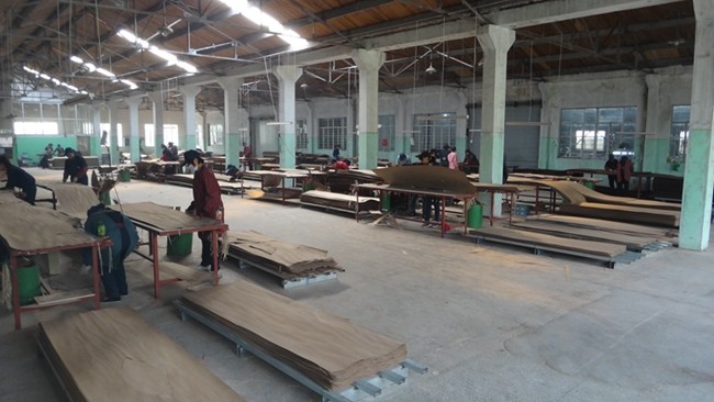 Engineered Straight Grain Oak Veneer EV Furniture Oak Veneer