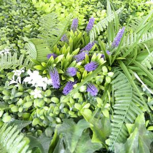 Outdoor Boxwood Indoor Artificial Living Wall Home Decoration