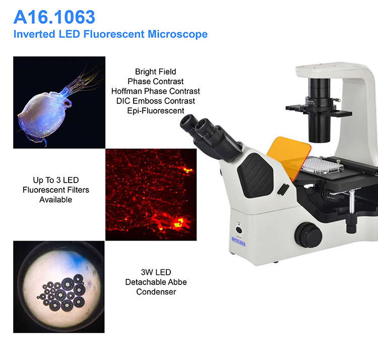 OPTO EDU A16.1063 LED Inverted Fluorescence Microscope