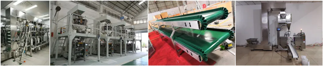 Food-Grade Z Type Bucket Elevator Conveyor for Packaging System