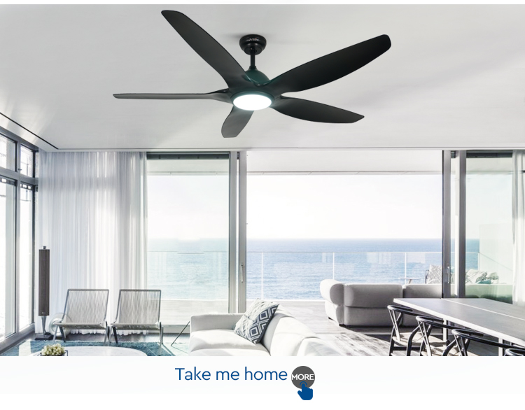led ceiling fan