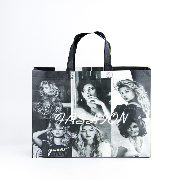 High Quality PP Nonwoven Fabric Spunbond Shopping Bag Non Woven Bag Cloth Bag