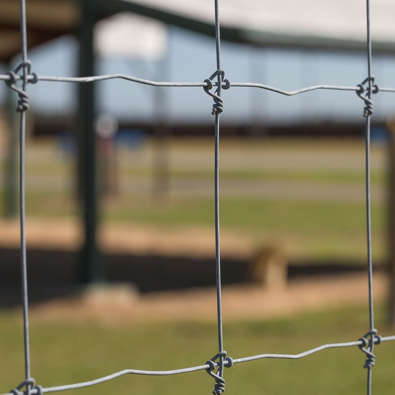 Wood High Tensile Fixed Knot Wire Fencing For Cattle High Strength Galvanized