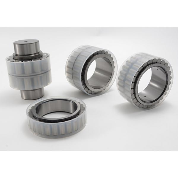 Double Row Cylindrical Roller Bearing Full Complement Without Outer Ring
