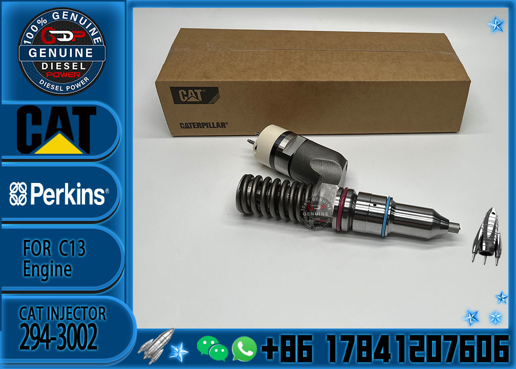 Factory Direct Supply Common Rail Injector 249-0709 294-3002 294-3002 10R-6162 2490709 2943002