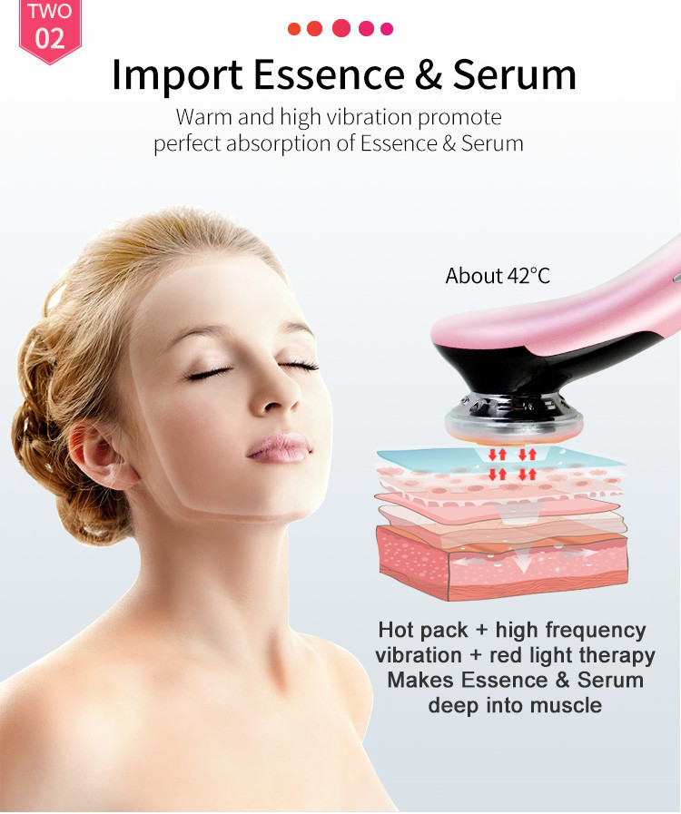 Professional Galvanic Massage 2 In 1 EMS Beauty Device
