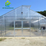 SS430 SS304 Agricultural Exhaust Fans Wet Wall Greenhouse Cooling System