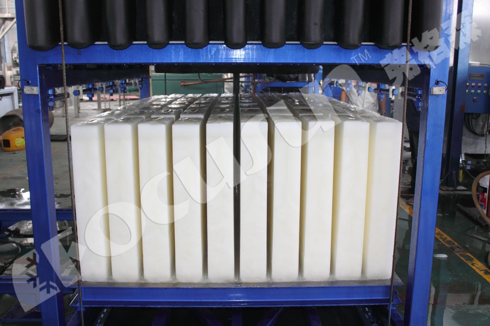 Heavy Duty 30 Ton/Day Direct Cooling Block Ice Making Machine with Bitzer Compressor