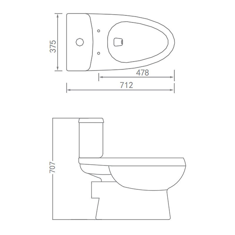 Washdown 1 Piece Dual Flush Toilet S trap 185mm Closestool