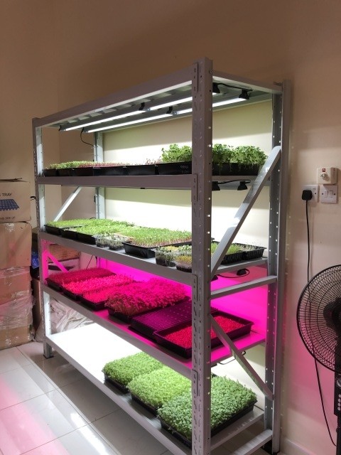 Wall Mount Adjustable Spectrum LED Grow Light AC85-265V 18 Inch Led Light