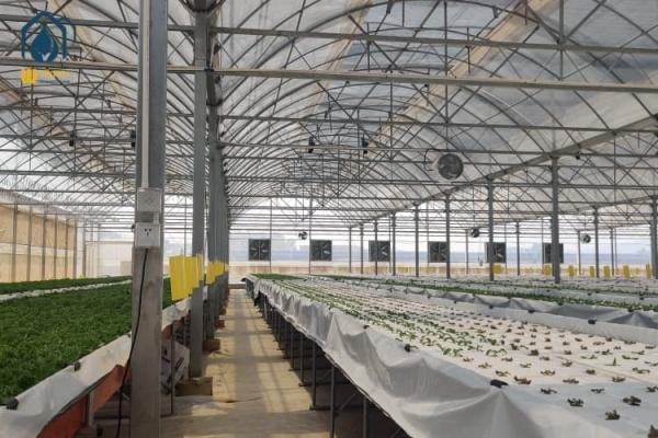Outdoor Commercial Farming Agriculture Metal Frame Multi Span Large Plastic