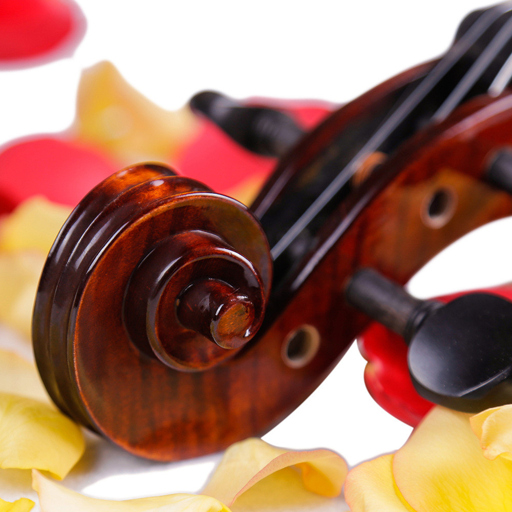 Professional golden yellow natural flame maple handmade violin VA-303 caterina middle grade Handmade violin