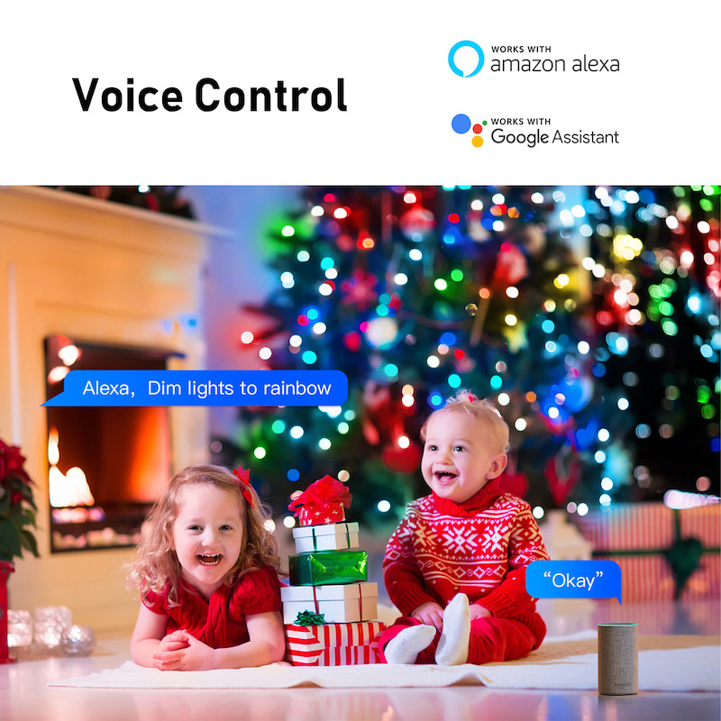 Intelligent Alexa Smart Wifi LED Bulb Usb Voice Control Christmas Led String Light