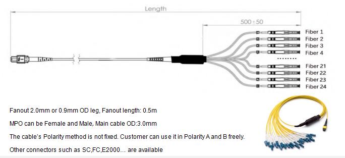 24 Fibers MPO to LC OM4 Fiber Optic MPO-LC 2.0mm Straight harness Cables