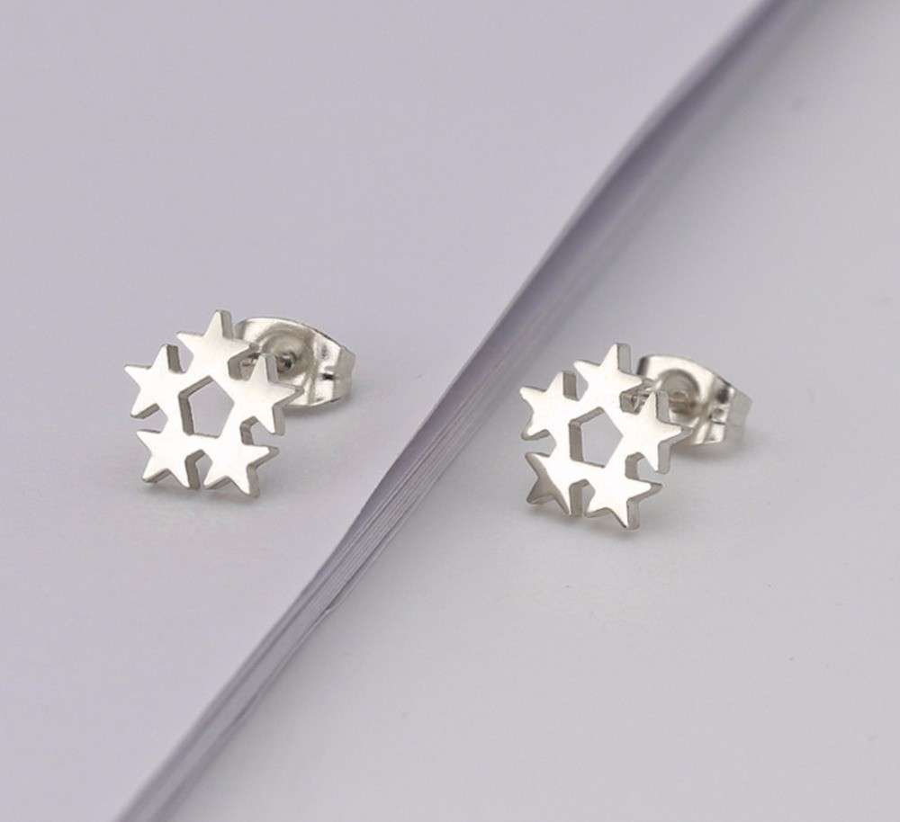Customized Earring Surgical Stainless Steel Titanium Silver Gold Black Plated Star Stud Earrings