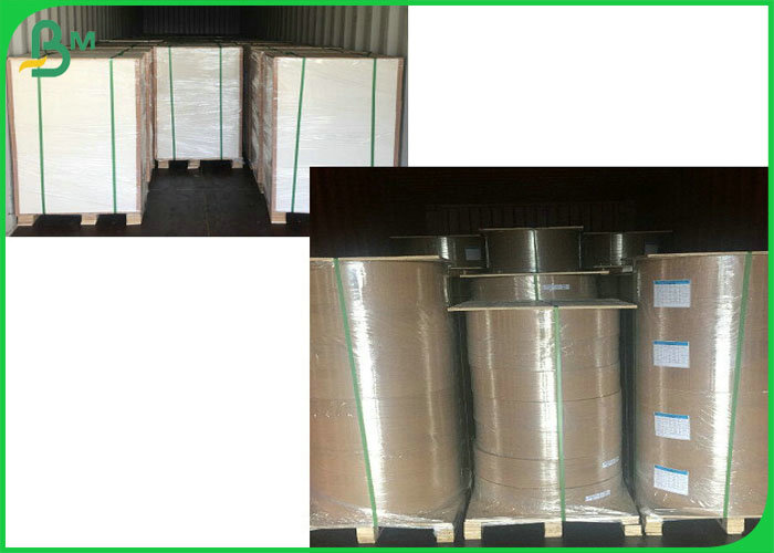 pe coated paper