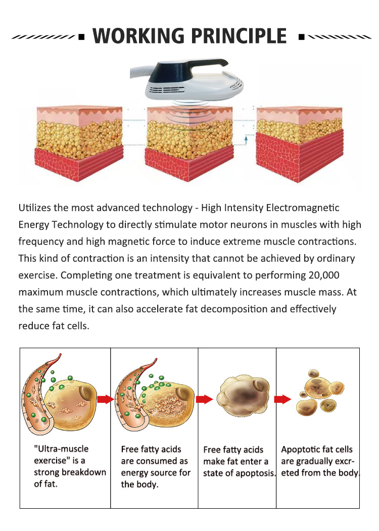 Body Shape S Shape Cavitation Muscle Building Electrical Machines 10.4in Screen ISO9001