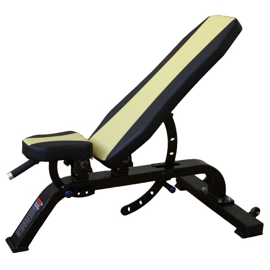 Fitness Strength Training Gym Weight Chest Press Free Weights Adjustable Bench Press