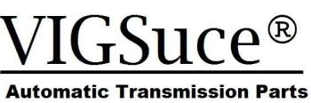 VIGSuce Auto Parts Company Limited