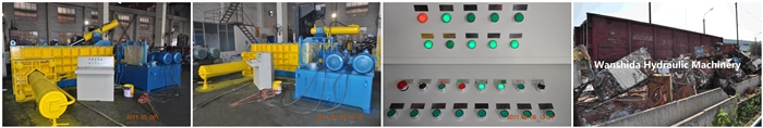 Hydraulic Metal Shear/Alligator Shear