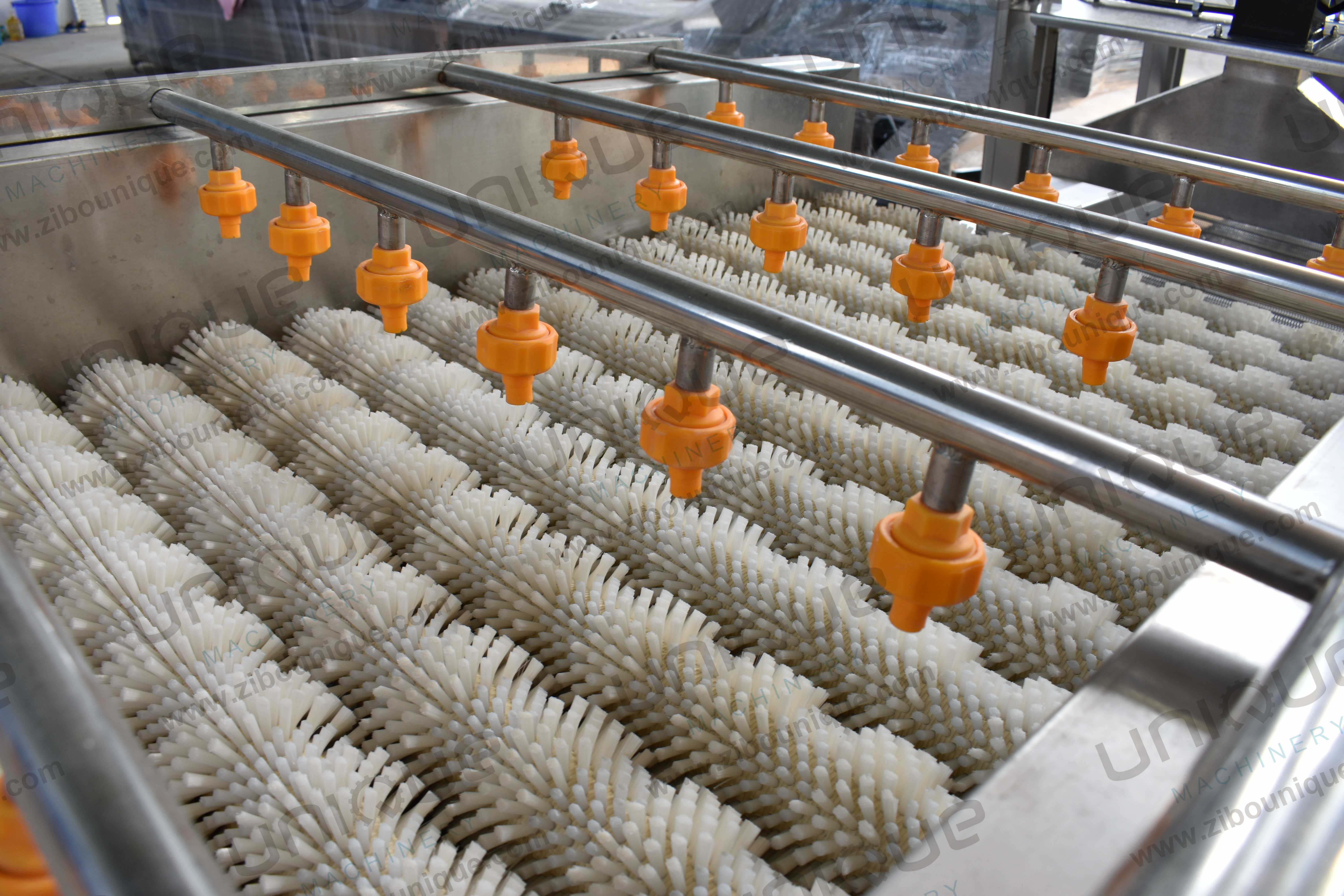 Vegetable Carrot Potato Ginger Brush Roller Washer Machine for Washing and Cleaning