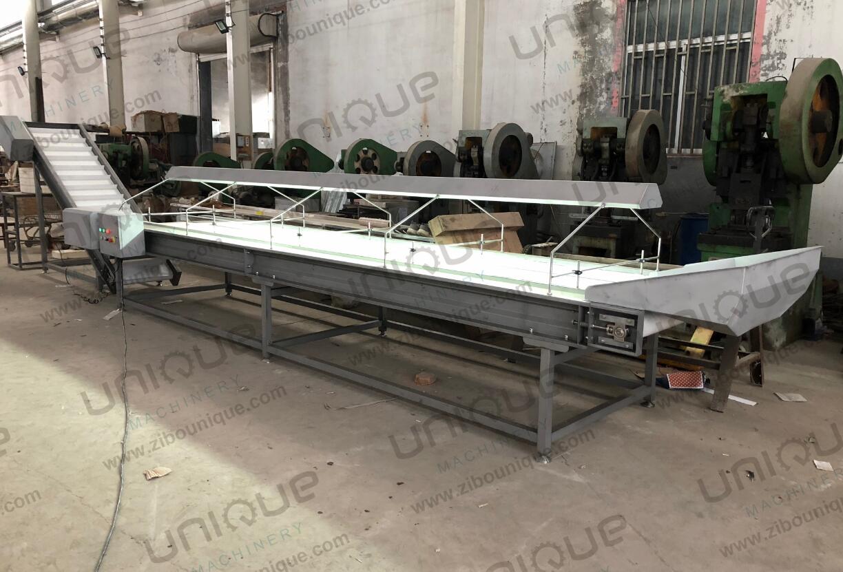 220v/ 380v Stainless Steel 304 Nut Selecting Conveyor Belt for Raisin Sorting Machine