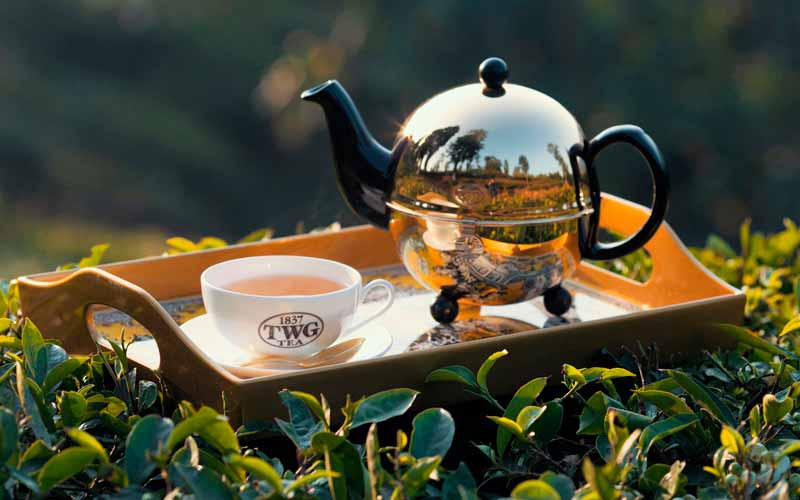 Py Ramid Triangle Tea Bag Packing Machine Drip Coffee Bag Automatic