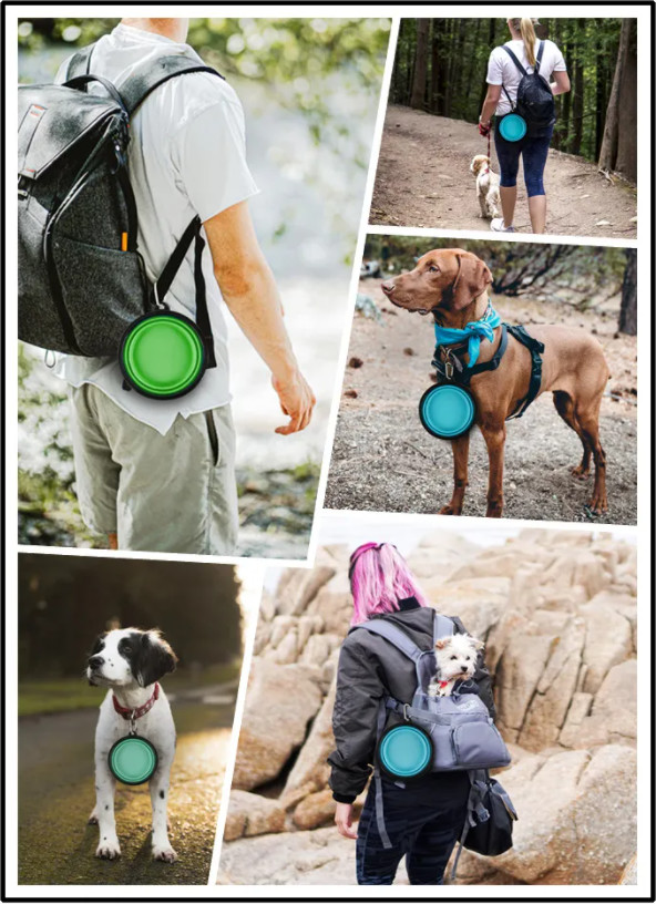 TPE Rubber Slow Feeder Dog Bowl Collapsible Silicone Portable Foldable Raised Dog Bowls