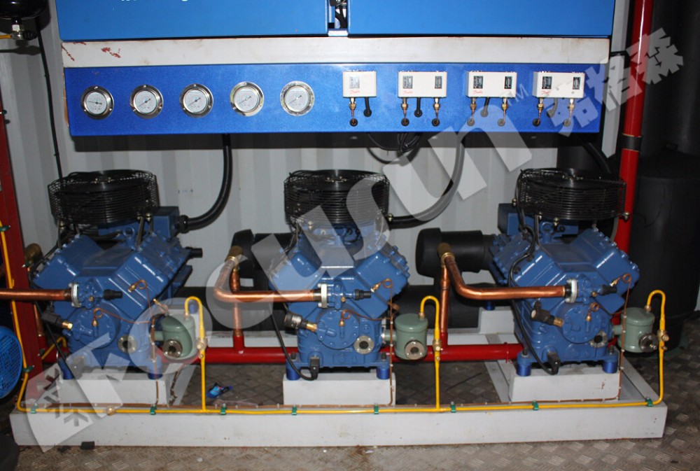 Bitzer Compressor 12000 KG Direct Refrigeration 40 HQ Containerized Block Ice Machine