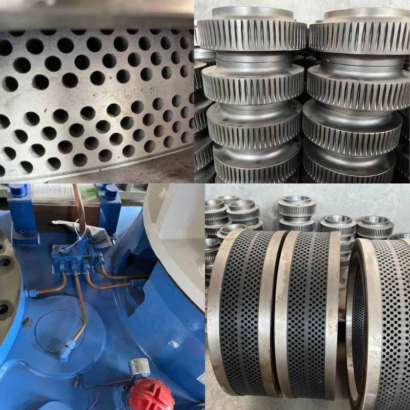 High Capacity Ring Die Wood Pellet Machine For Making Pellets