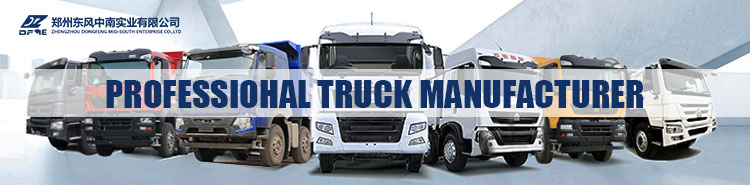 Diesel Fuel HOWO Dump Truck 8X4 Used Tipper Truck for All Africa Market 20 Cubic Capacity