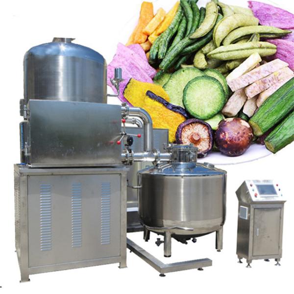 Commercial Vacuum Frying Machine Banana Chips French Fries Continuous Vacuum