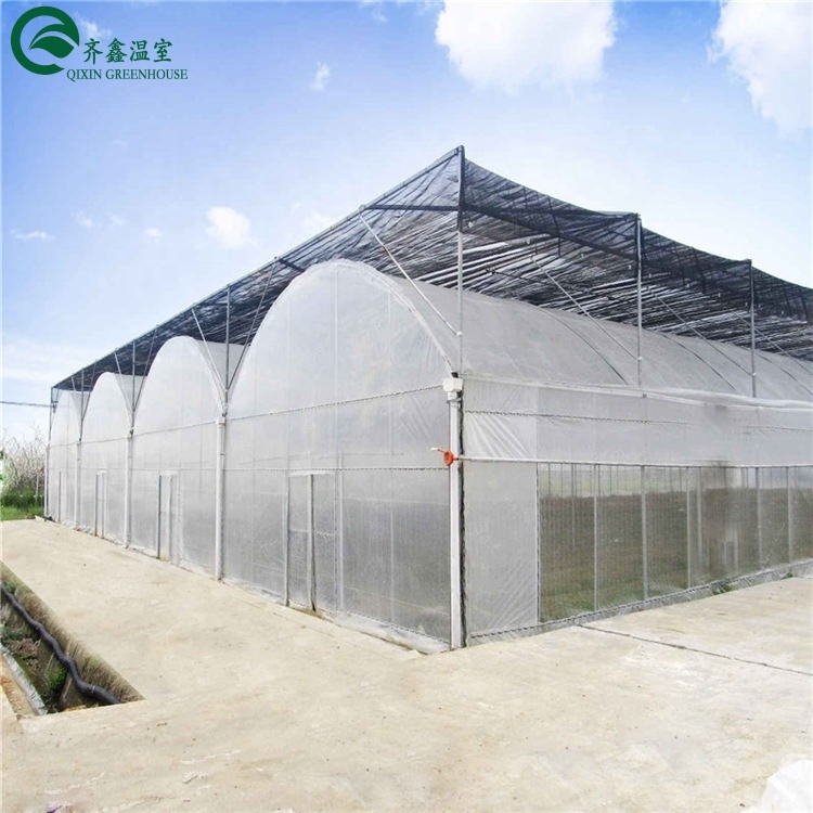 Double Layer PO Greenhouse Tunnel for Precise Temperature Control
